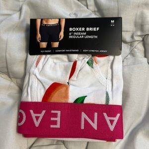 American Eagle Breifs